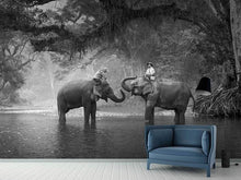 Load image into Gallery viewer, Photo Wallpaper Two Elephants
