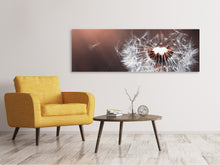 Load image into Gallery viewer, Panoramic Canvas Print Dandelion in the evening light
