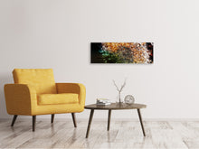 Load image into Gallery viewer, Panoramic Canvas Print Dandelion in the morning dew
