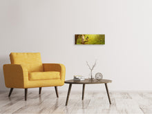 Load image into Gallery viewer, Panoramic Canvas Print Forest excursion
