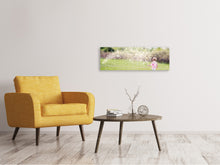 Load image into Gallery viewer, Panoramic Canvas Print Little fairy
