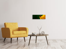 Load image into Gallery viewer, Panoramic Canvas Print Ladybug on the sunflower
