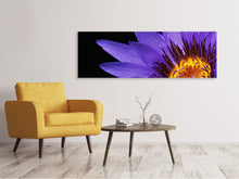 Load image into Gallery viewer, Panoramic Canvas Print XL water lily in purple
