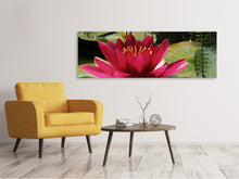 Load image into Gallery viewer, Panoramic Canvas Print Water lily in red
