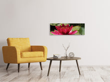 Load image into Gallery viewer, Panoramic Canvas Print Water lily in red
