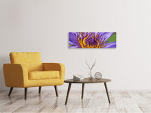 Load image into Gallery viewer, Panoramic Canvas Print XXL water lily in purple
