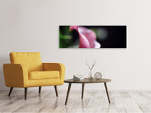 Load image into Gallery viewer, Panoramic Canvas Print Calla in purple
