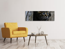 Load image into Gallery viewer, Panoramic Canvas Print Cats child
