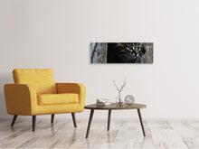 Load image into Gallery viewer, Panoramic Canvas Print Cats child
