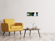 Load image into Gallery viewer, Panoramic Canvas Print Wild waterfall
