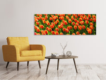 Load image into Gallery viewer, Panoramic Canvas Print Tulip field in orange
