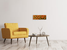 Load image into Gallery viewer, Panoramic Canvas Print Tulip field in orange
