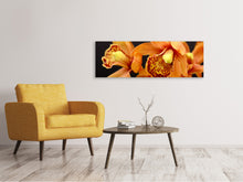 Load image into Gallery viewer, Panoramic Canvas Print Orchids with orange flowers
