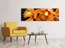 Load image into Gallery viewer, Panoramic Canvas Print Orchids with orange flowers
