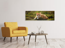 Load image into Gallery viewer, Panoramic Canvas Print Kitten in nature
