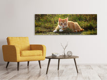 Load image into Gallery viewer, Panoramic Canvas Print Kitten in nature
