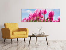 Load image into Gallery viewer, Panoramic Canvas Print Tulip field in pink
