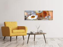 Load image into Gallery viewer, Panoramic Canvas Print Daisies XL
