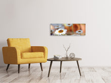 Load image into Gallery viewer, Panoramic Canvas Print Daisies XL
