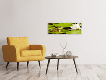 Load image into Gallery viewer, Panoramic Canvas Print The frog and the water lily
