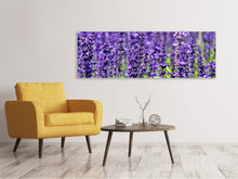 Load image into Gallery viewer, Panoramic Canvas Print XL lavender
