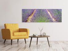 Load image into Gallery viewer, Panoramic Canvas Print The lavender field
