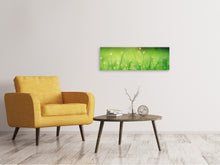 Load image into Gallery viewer, Panoramic Canvas Print Meadow with morning dew
