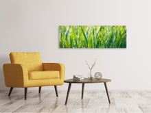 Load image into Gallery viewer, Panoramic Canvas Print Grass with morning dew XL
