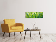 Load image into Gallery viewer, Panoramic Canvas Print Grass with morning dew XL

