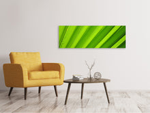 Load image into Gallery viewer, Panoramic Canvas Print Palm stripes 2
