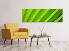 Load image into Gallery viewer, Panoramic Canvas Print Palm stripes 2
