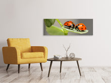 Load image into Gallery viewer, Panoramic Canvas Print 2 ladybirds
