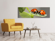 Load image into Gallery viewer, Panoramic Canvas Print 2 ladybirds
