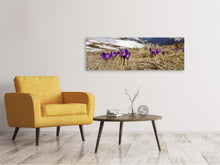 Load image into Gallery viewer, Panoramic Canvas Print Purple crocus
