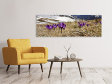 Load image into Gallery viewer, Panoramic Canvas Print Purple crocus
