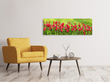 Load image into Gallery viewer, Panoramic Canvas Print Red tulip field in the sunlight
