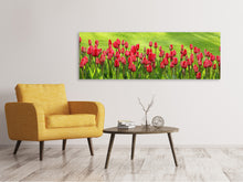 Load image into Gallery viewer, Panoramic Canvas Print Red tulip field in the sunlight
