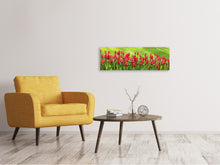 Load image into Gallery viewer, Panoramic Canvas Print Red tulip field in the sunlight
