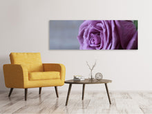 Load image into Gallery viewer, Panoramic Canvas Print Rose in purple XXL
