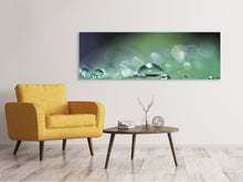 Load image into Gallery viewer, Panoramic Canvas Print Drops of water in XXL
