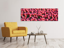 Load image into Gallery viewer, Panoramic Canvas Print Lush tulip field
