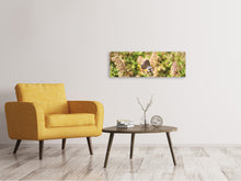 Load image into Gallery viewer, Panoramic Canvas Print The blue

