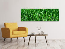 Load image into Gallery viewer, Panoramic Canvas Print The meadow in XL
