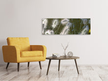 Load image into Gallery viewer, Panoramic Canvas Print Ornamental grasses in XL
