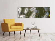 Load image into Gallery viewer, Panoramic Canvas Print Ornamental grasses in XL
