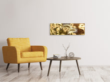 Load image into Gallery viewer, Panoramic Canvas Print Ornamental grass in the sunlight
