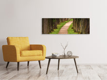Load image into Gallery viewer, Panoramic Canvas Print A path in the forest

