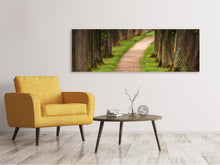 Load image into Gallery viewer, Panoramic Canvas Print A path in the forest
