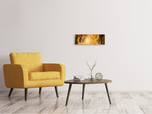 Load image into Gallery viewer, Panoramic Canvas Print Colors magnificent forest