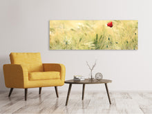 Load image into Gallery viewer, Panoramic Canvas Print A poppy

